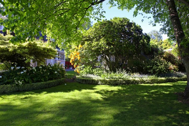 Whitney Garden