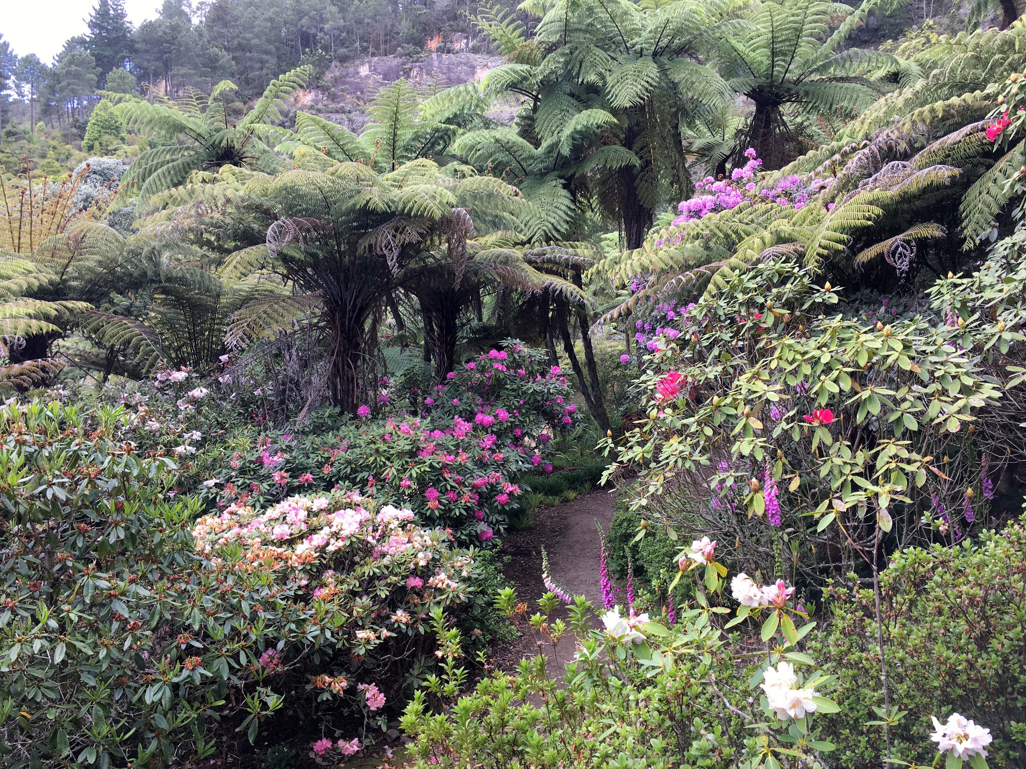 Gardens to visit Te Puna Quarry Park
