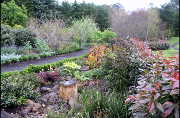 Gardens to visit Kaipara Coast Sculpture Gardens