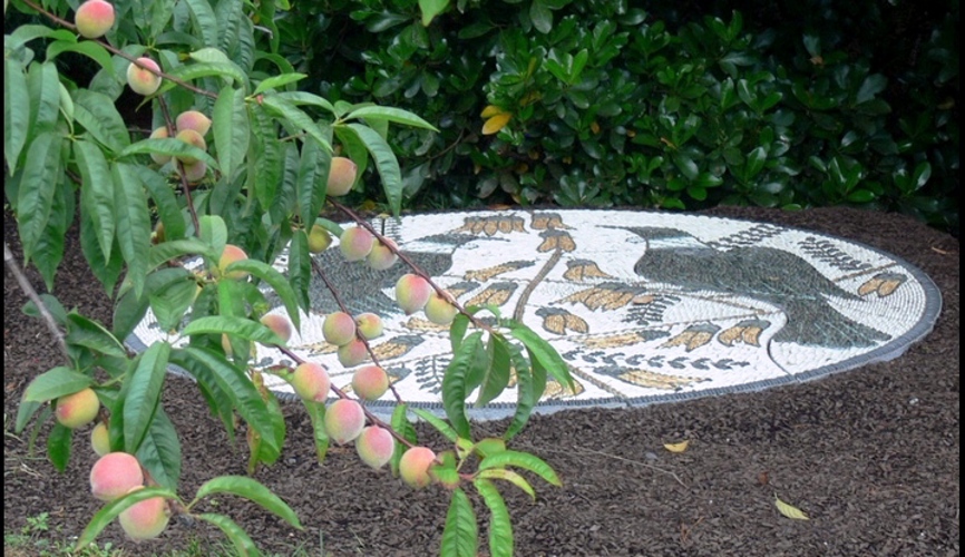 Gardens to visit Kaipara Coast Sculpture Gardens