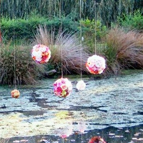 Gardens to visit Kaipara Coast Sculpture Gardens