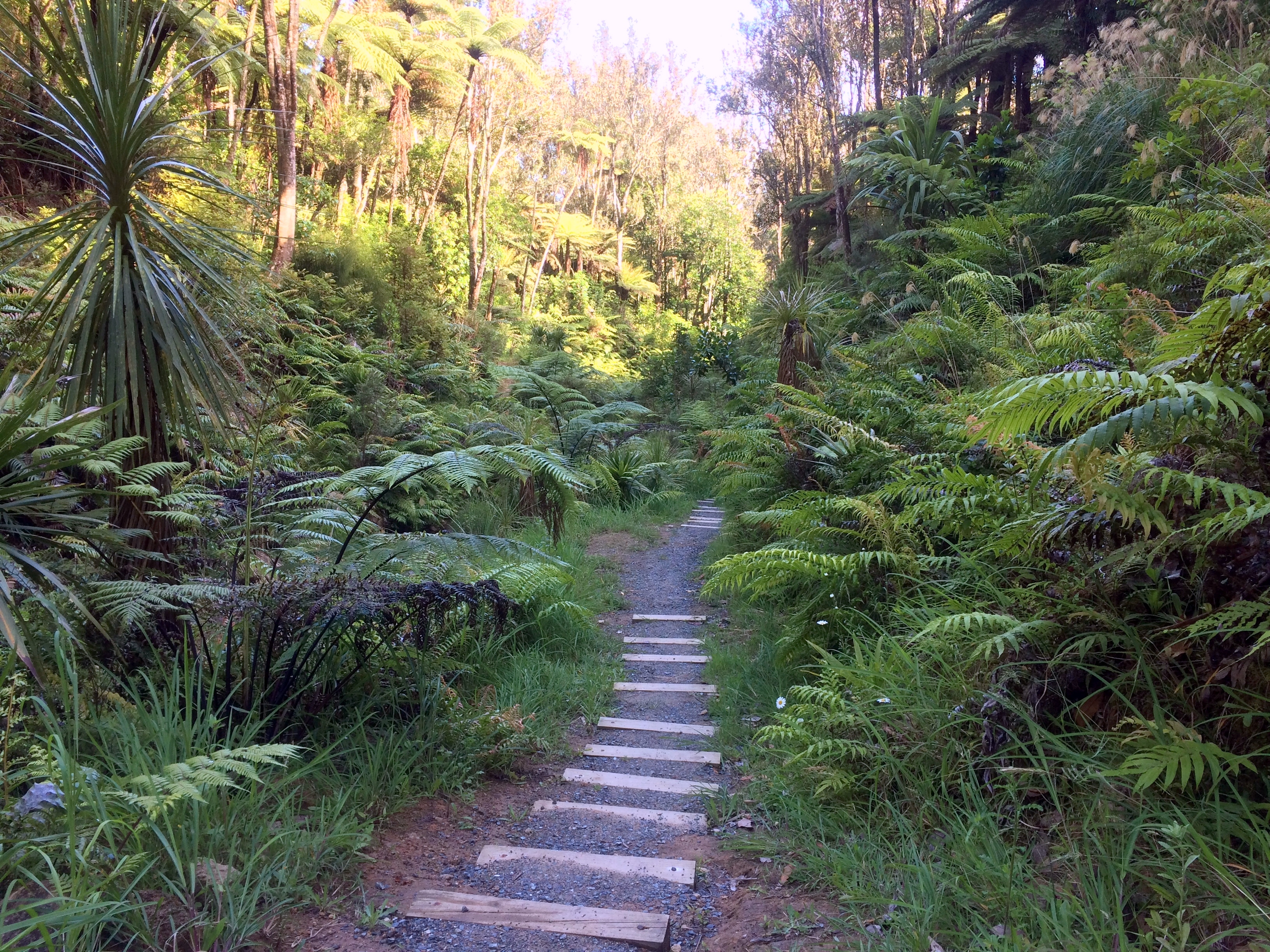 Gardens to visit Te Puna Quarry Park