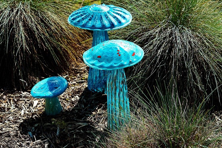 Lava Glass Sculpture Garden Mushrooms (1)