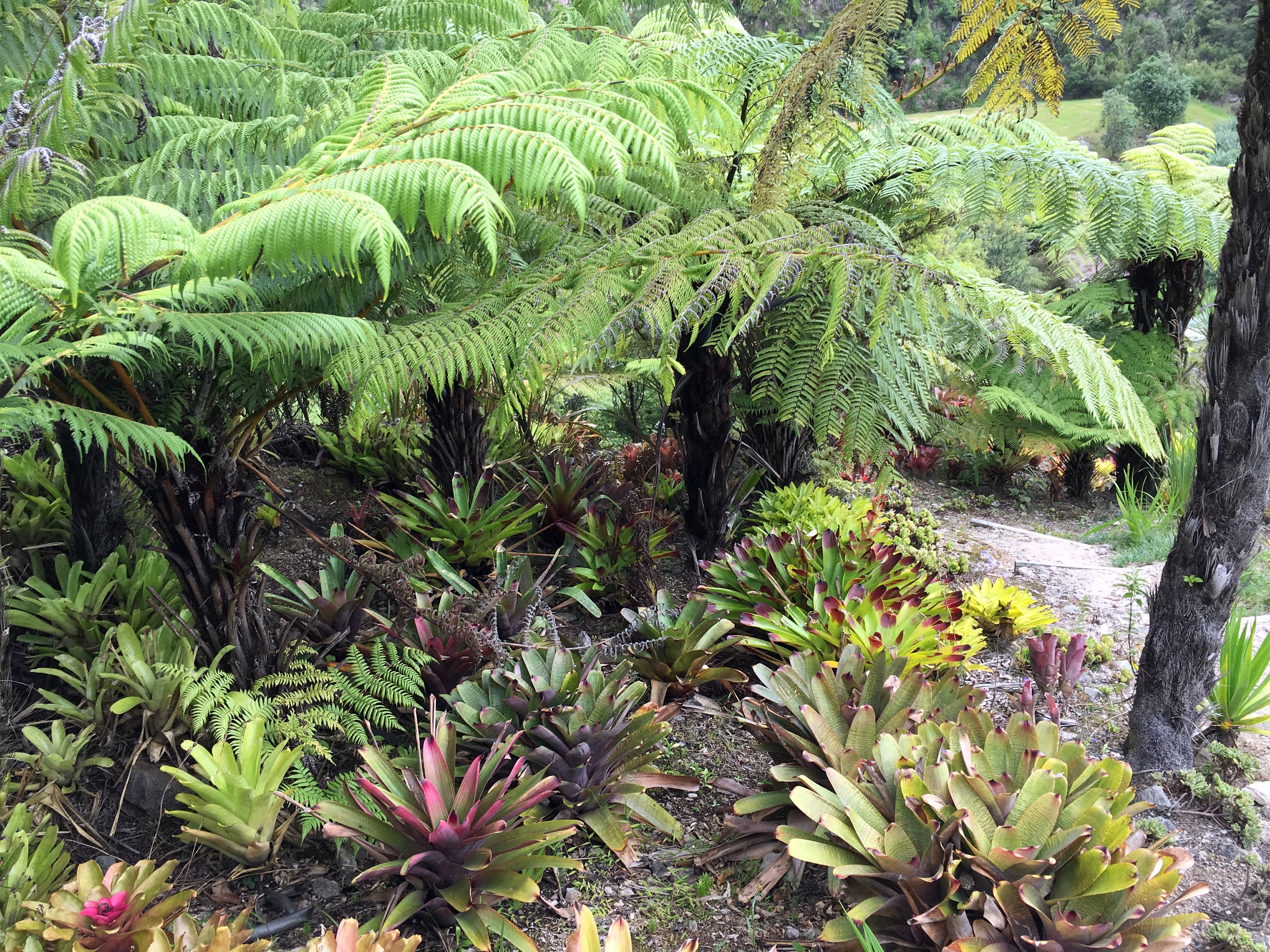Gardens to visit Te Puna Quarry Park