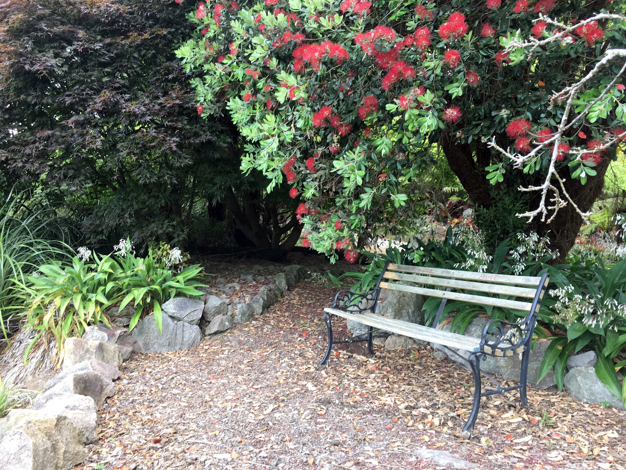 Gardens to visit Te Puna Quarry Park