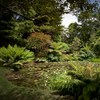 Rapaura Watergardens image