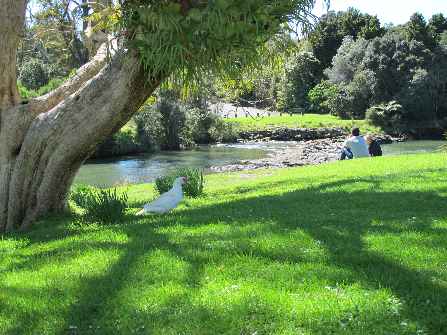 Gardens to visit Kerikeri Mission Station